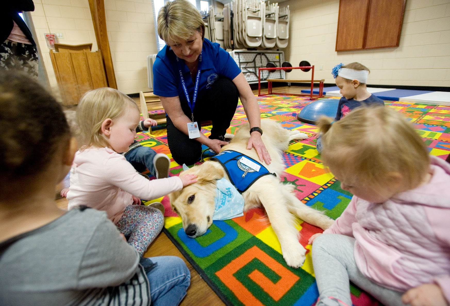 Charleston Comfort Dog 12/27/18 - 1
